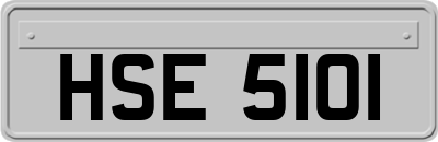 HSE5101