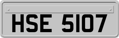 HSE5107