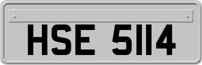 HSE5114