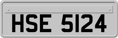 HSE5124
