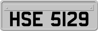 HSE5129
