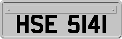 HSE5141