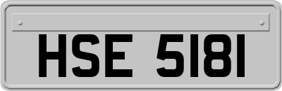 HSE5181