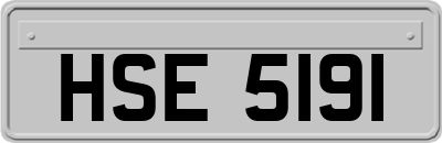 HSE5191