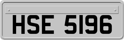 HSE5196