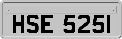 HSE5251