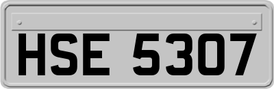 HSE5307