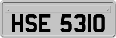 HSE5310