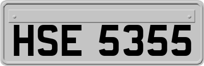 HSE5355