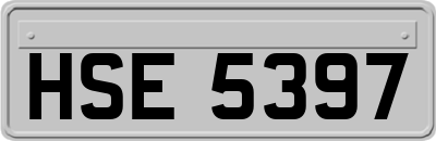 HSE5397