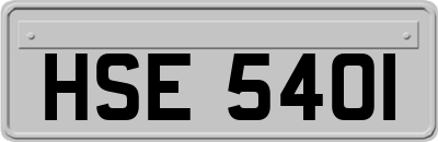 HSE5401