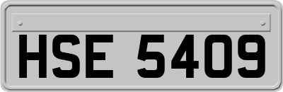HSE5409