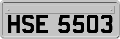 HSE5503