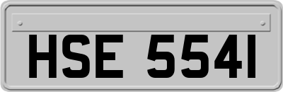 HSE5541