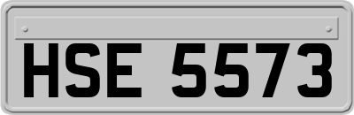 HSE5573