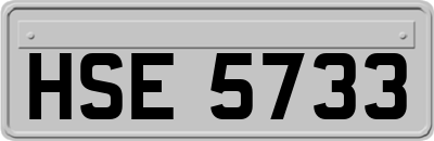 HSE5733