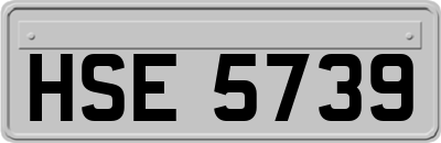 HSE5739