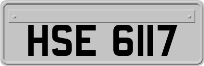 HSE6117