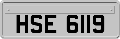 HSE6119