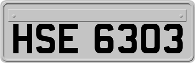 HSE6303