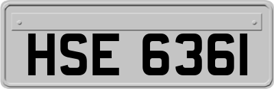 HSE6361