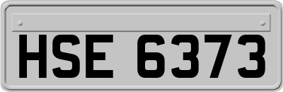 HSE6373
