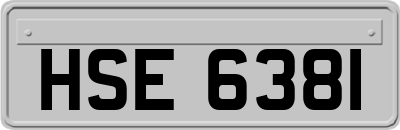 HSE6381