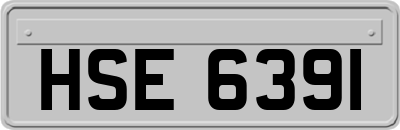 HSE6391