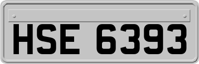 HSE6393
