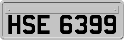 HSE6399