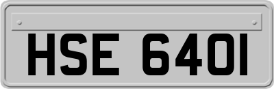 HSE6401