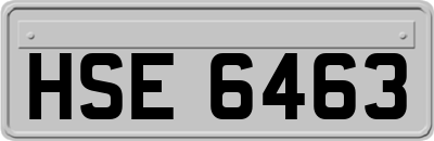 HSE6463