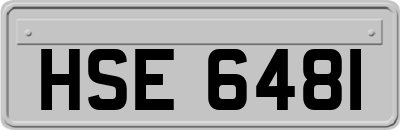 HSE6481