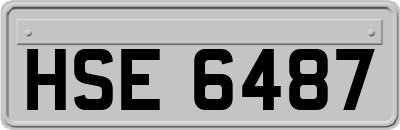 HSE6487