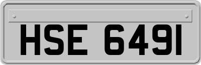 HSE6491