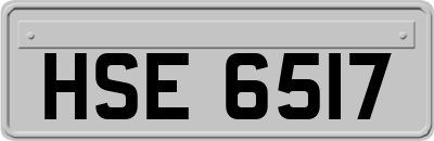 HSE6517