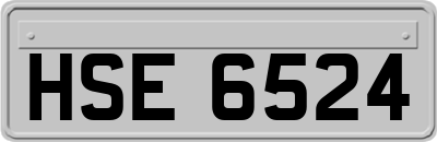 HSE6524