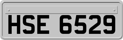HSE6529