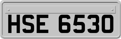 HSE6530
