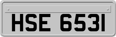 HSE6531