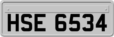 HSE6534