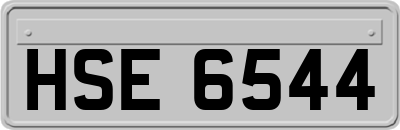 HSE6544