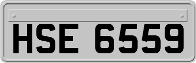HSE6559