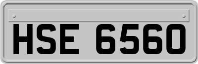 HSE6560
