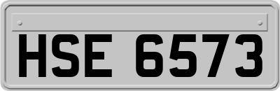 HSE6573
