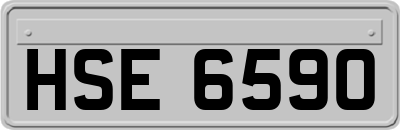 HSE6590