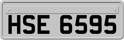 HSE6595