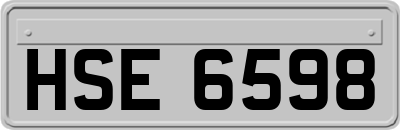 HSE6598