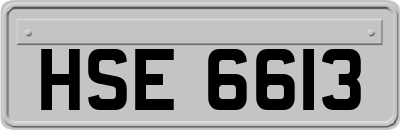 HSE6613