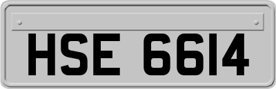HSE6614
